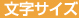 文字サイズ